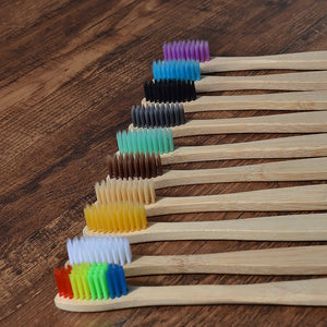 Eco Friendly Wooden Tooth Brush