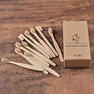 Eco Friendly Wooden Tooth Brush